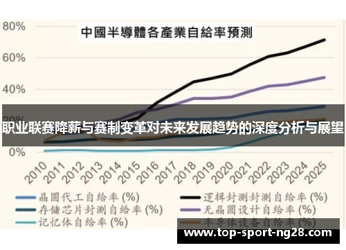 职业联赛降薪与赛制变革对未来发展趋势的深度分析与展望 职业联赛降薪与赛制变革对未来发展趋势的深度分析与展望