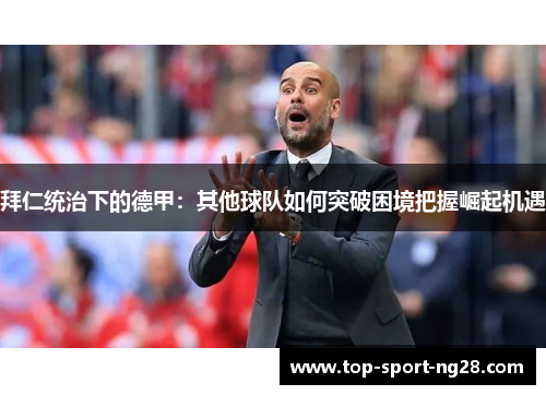 拜仁统治下的德甲：其他球队如何突破困境把握崛起机遇