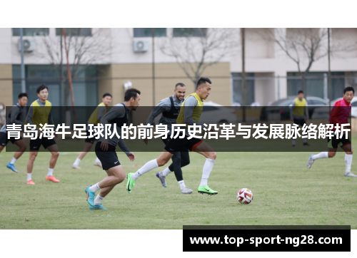 青岛海牛足球队的前身历史沿革与发展脉络解析